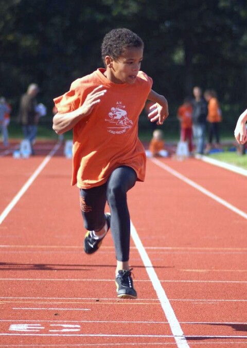 2007 (32)